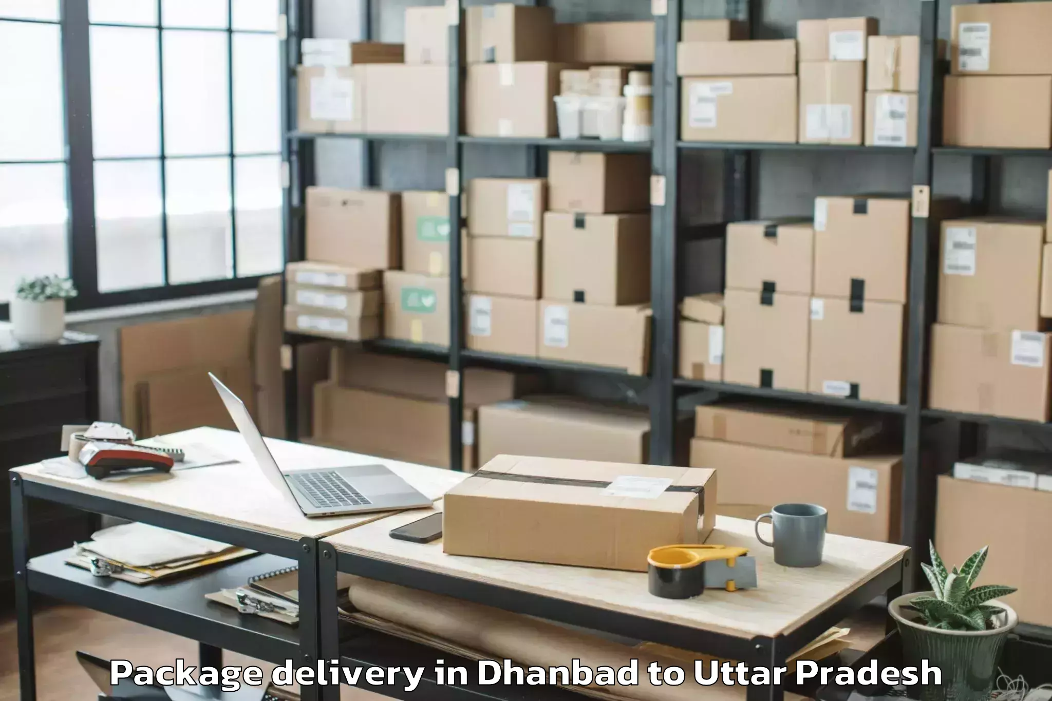 Trusted Dhanbad to Bachhrawan Package Delivery